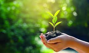 দুর্গতদের সাহায্য প্রদান